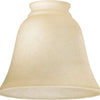 Quorum Glass