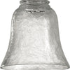 Quorum Glass