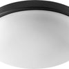 Quorum LED Ceiling Mount