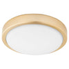 Quorum LED Light Kit