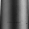 Quorum One Light Ceiling Mount