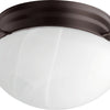 Quorum One Light Ceiling Mount