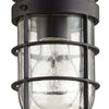 Quorum One Light Ceiling Mount
