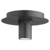 Quorum One Light Ceiling Mount