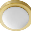 Quorum One Light Ceiling Mount