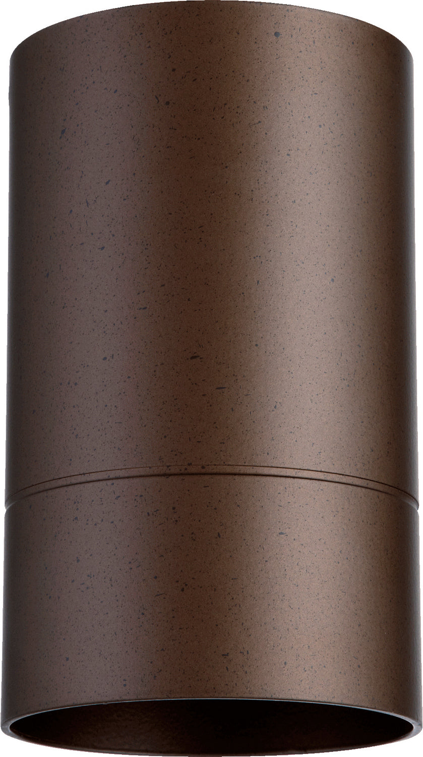 Quorum One Light Ceiling Mount