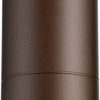 Quorum One Light Ceiling Mount