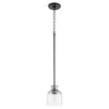 Quorum One Light Pendant