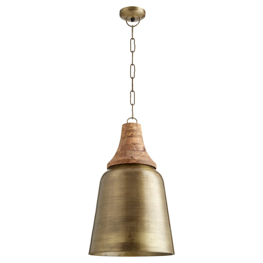 Quorum One Light Pendant