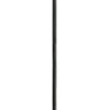 Quorum One Light Pendant