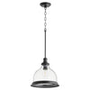 Quorum One Light Pendant