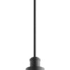 Quorum One Light Pendant