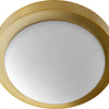Quorum Two Light Ceiling Mount