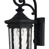 Raley LED Wall Mount in Museum Black