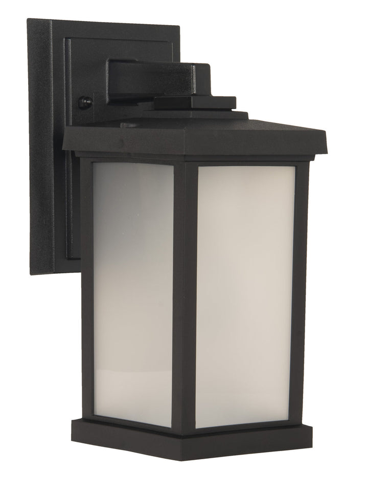 Resilience Lanterns One Light Outdoor Wall Lantern in Textured Black