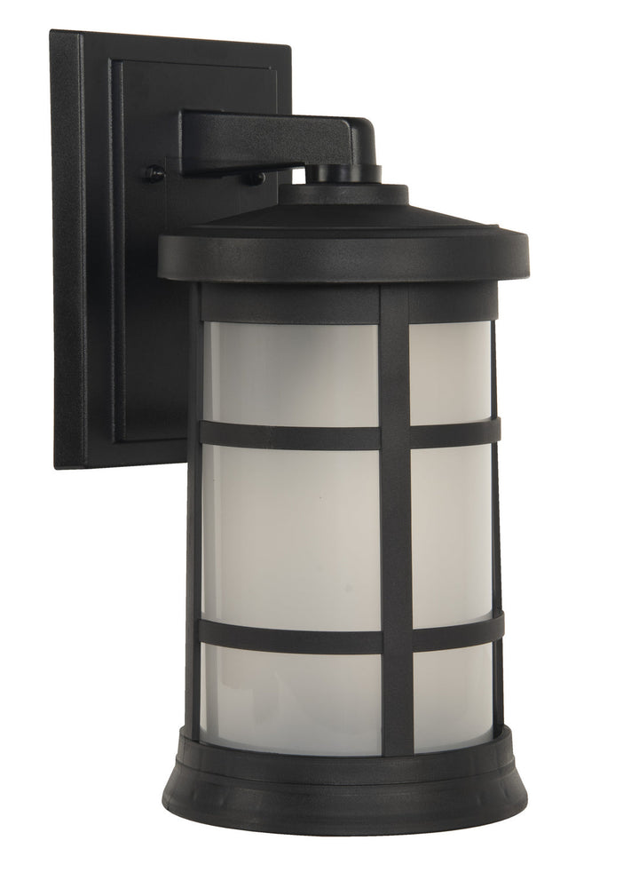 Resilience Lanterns One Light Outdoor Wall Lantern in Textured Black