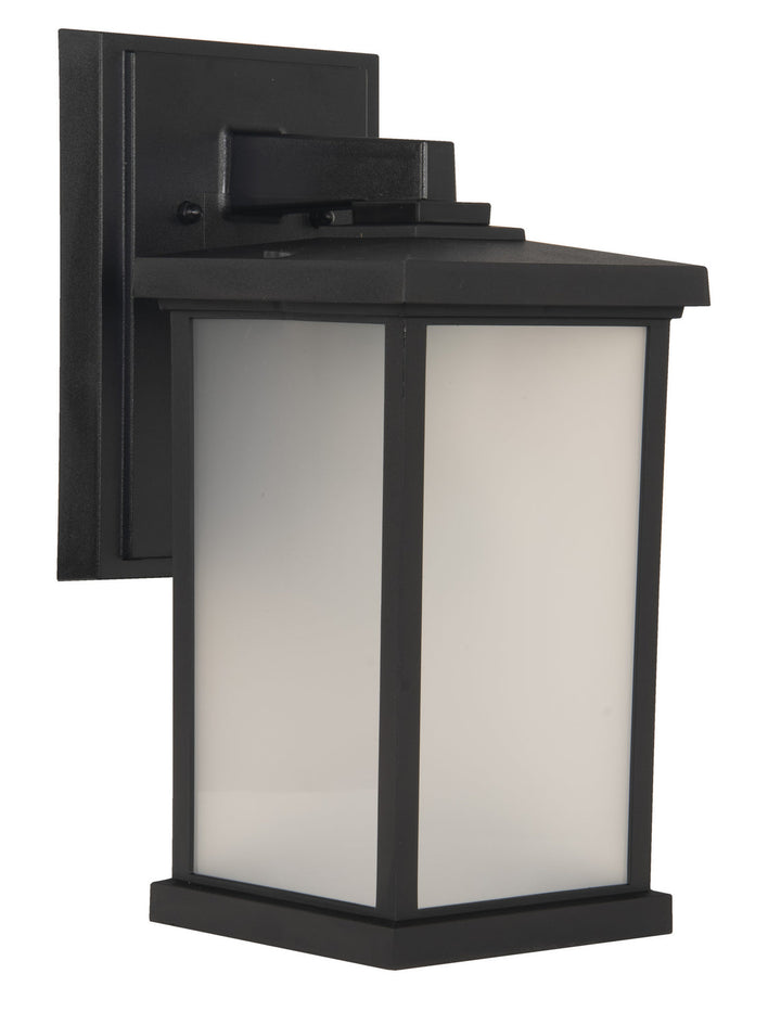 Resilience Lanterns One Light Outdoor Wall Lantern in Textured Black