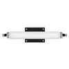 Rollins LED Wall Sconce in Black