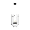 Sacha Four Light Pendant in Natural Black Iron