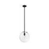 Sacha One Light Pendant in Natural Black Iron