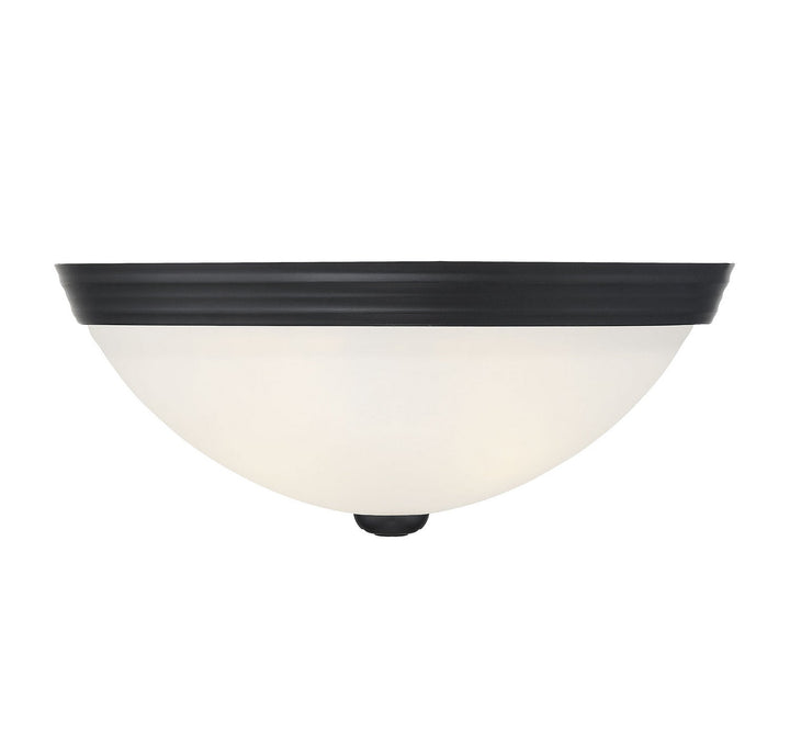 Savoy House Flush Mount Two Light Flush Mount