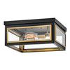 Shaw LED Flush Mount in Black