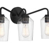 Shayna Three Light Vanity in Flat Black