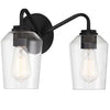 Shayna Two Light Vanity in Flat Black