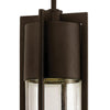 Shelter LED Hanging Lantern in Buckeye Bronze