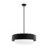 Station Four Light Pendant in Natural Black Iron-Discontinued