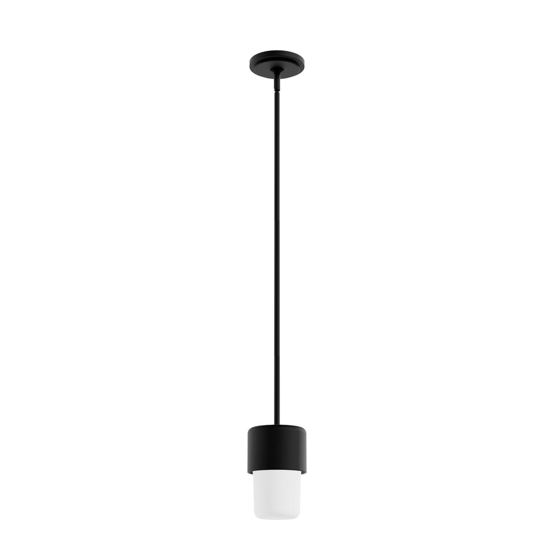 Station One Light Mini Pendant in Natural Black Iron