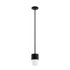 Station One Light Mini Pendant in Natural Black Iron