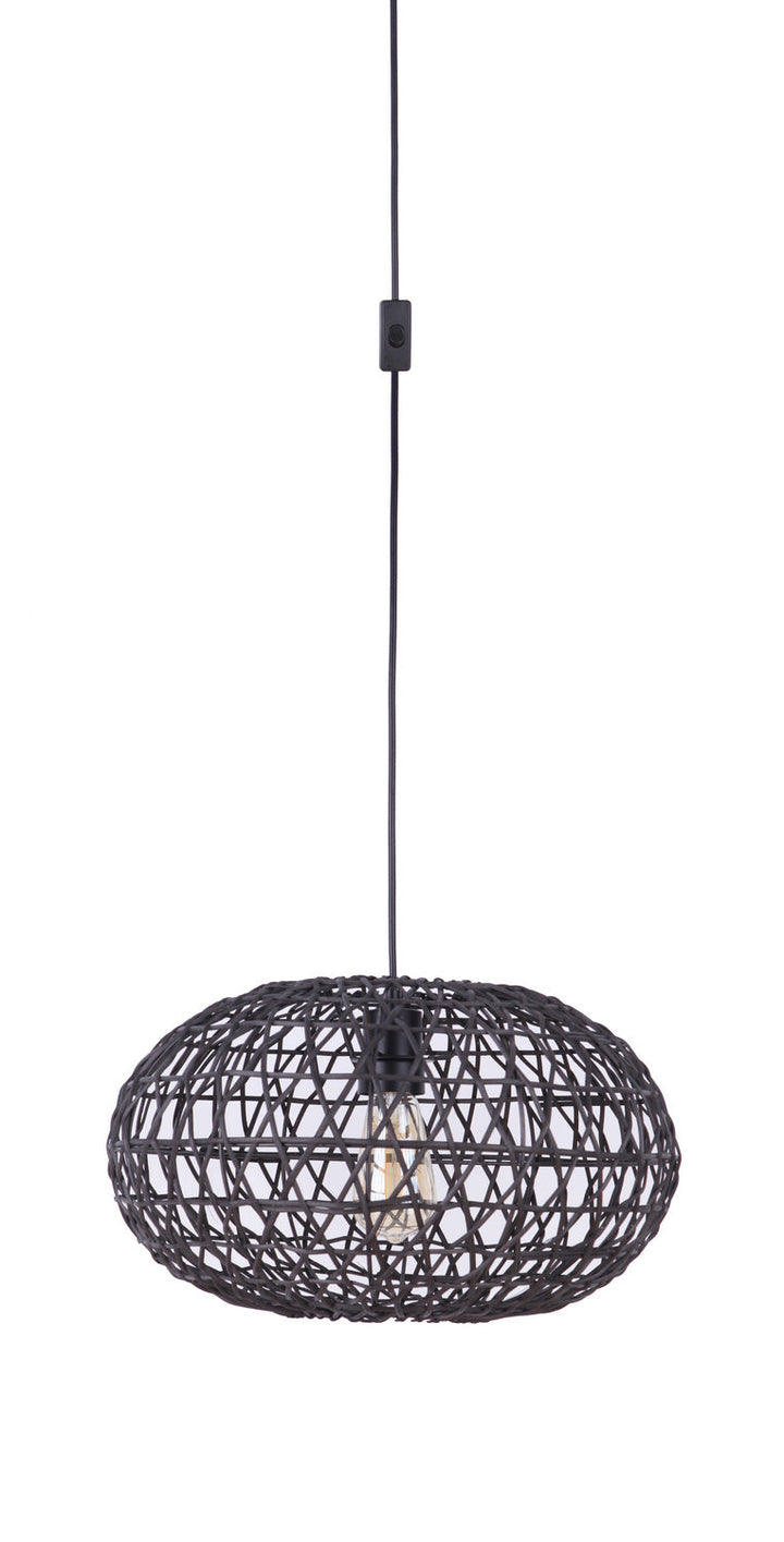 Swag Pendants One Light Pendant in Flat Black