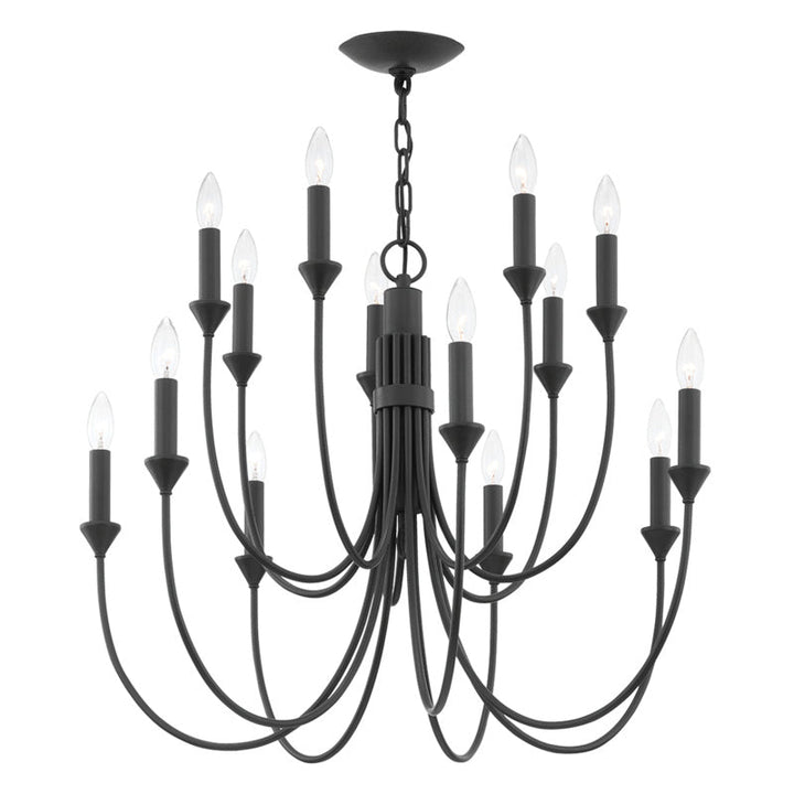 Troy Lighting 14 Light Chandelier