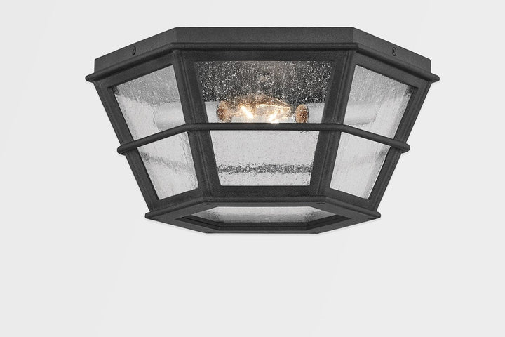 Troy Lighting Two Light Flush Mount