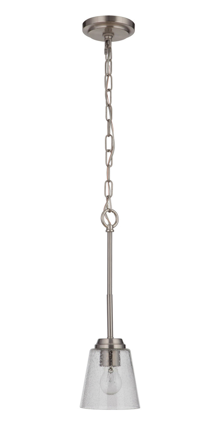 Tyler One Light Mini Pendant in Brushed Polished Nickel