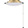 Universal Fan Light Kit LED in Satin Brass