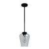 Vidria One Light Mini Pendant in Matte Black