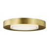 Visual Comfort Modern LED Flush Mount
