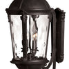 Windsor LED Wall Mount in Black