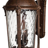 Windsor LED Wall Mount in River Rock